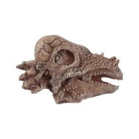 Zestaw archeologiczny 'Wykop to sam' - Czaszka dinozaura, zdjęcie 7