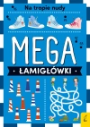 Mega łamigłówki. Na tropie nudy - zdjęcie