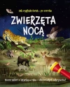 Zwierzęta nocą. Nocne safari z latarką w ręku - zdjęcie