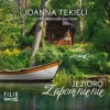 Jezioro Zapomnienie - zdjęcie