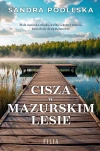 Cisza w mazurskim lesie - zdjęcie