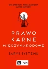 Prawo karne międzynarodowe - zdjęcie