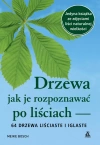 Drzewa – jak je rozpoznawać po liściach - zdjęcie