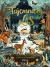 Tajemniczy las - zdjęcie