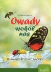 Owady wokół nas - zdjęcie