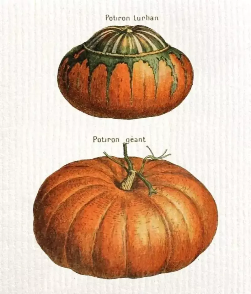 Ściereczka kuchenna Dynie