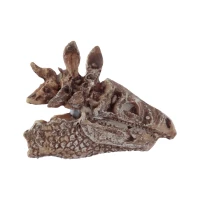 Zestaw archeologiczny 'Wykop to sam' - Czaszka dinozaura, zdjęcie 8