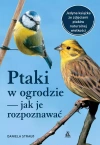 Ptaki w ogrodzie - jak je rozpoznawać - zdjęcie
