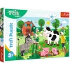 Puzzle 24 maxi Trefliki na wsi TREFL - zdjęcie