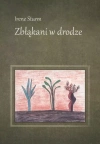 Zbłąkani w drodze - zdjęcie