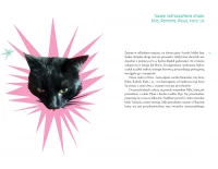 Kora i inne zwierzęta, zdjęcie 2