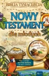 Nowy Testament dla młodych - zdjęcie