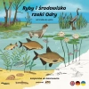 Ryby i środowisko rzeki Odry. Od źródła do ujścia - zdjęcie
