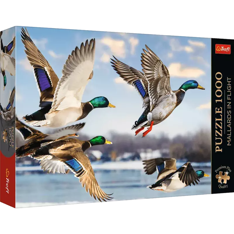 Puzzle 1000 elementów. Premium Plus Quality. Krzyżówki w locie Puzzle 1000 elementów. Premium Plus Quality. Krzyżówki w locie