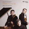 Piano Trios Nos 1 & 2 Notturno & Sonatensatz Trio Wanderer, CD - zdjęcie