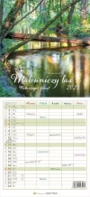 Kalendarz 2025 Malowniczy las - zdjęcie