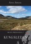 Moja przygoda z Kungsleden Moja przygoda z Kungsleden - zdjęcie