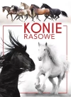 Konie rasowe - zdjęcie