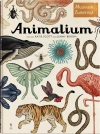 Animalium. Muzeum Zwierząt - zdjęcie