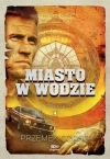Miasto w wodzie - zdjęcie
