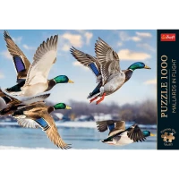 Puzzle 1000 elementów. Premium Plus Quality. Krzyżówki w locie, zdjęcie 3