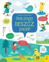 Co i jak? Dlaczego deszcz pada? - zdjęcie