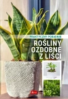 Rośliny ozdobne z liści Poradnik praktyczny - zdjęcie