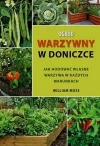 Ogród warzywny w doniczce - zdjęcie
