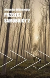 Przełęcz samobójcy 2 - zdjęcie