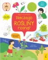 Co i jak? Dlaczego rośliny rosną? - zdjęcie