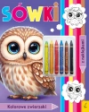 Kolorowanka z kredkami. Kolorowe zwierzaki. Sówki - zdjęcie