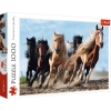 Puzzle 1000 elementów. Galopujące konie - zdjęcie