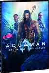 Aquaman i zaginione królestwo, DVD - zdjęcie