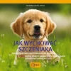 Jak wychować szczeniaka - zdjęcie