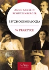 Psychogenealogia w praktyce - zdjęcie