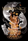 Bezkres nocy - zdjęcie