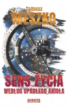 Sens życia według upadłego anioła - zdjęcie