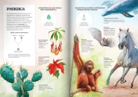 Nowa Biologia na czasie 3. Liceum i technikum. Podręcznik. Zakres podstawowy. Nowość 2026, zdjęcie 7
