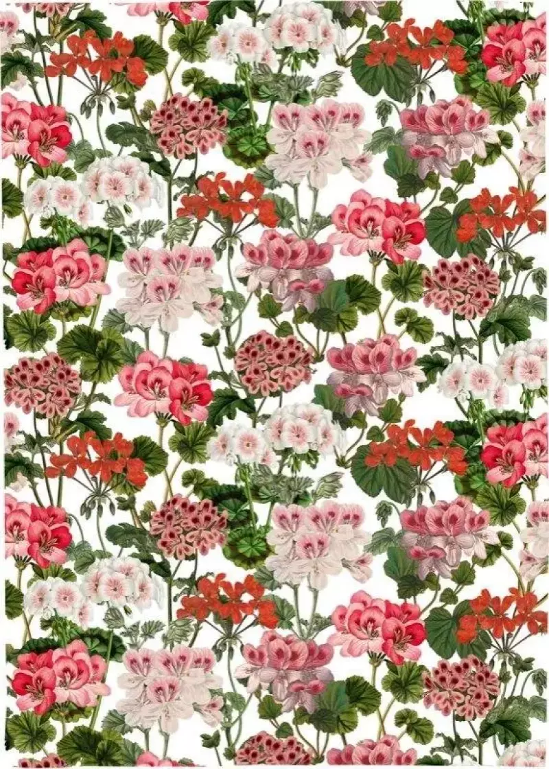 Ręcznik kuchenny - Pelargonia