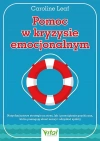 Pomoc w kryzysie emocjonalnym - zdjęcie