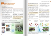 Nowa Biologia na czasie 3. Liceum i technikum. Podręcznik. Zakres podstawowy. Nowość 2026, zdjęcie 12