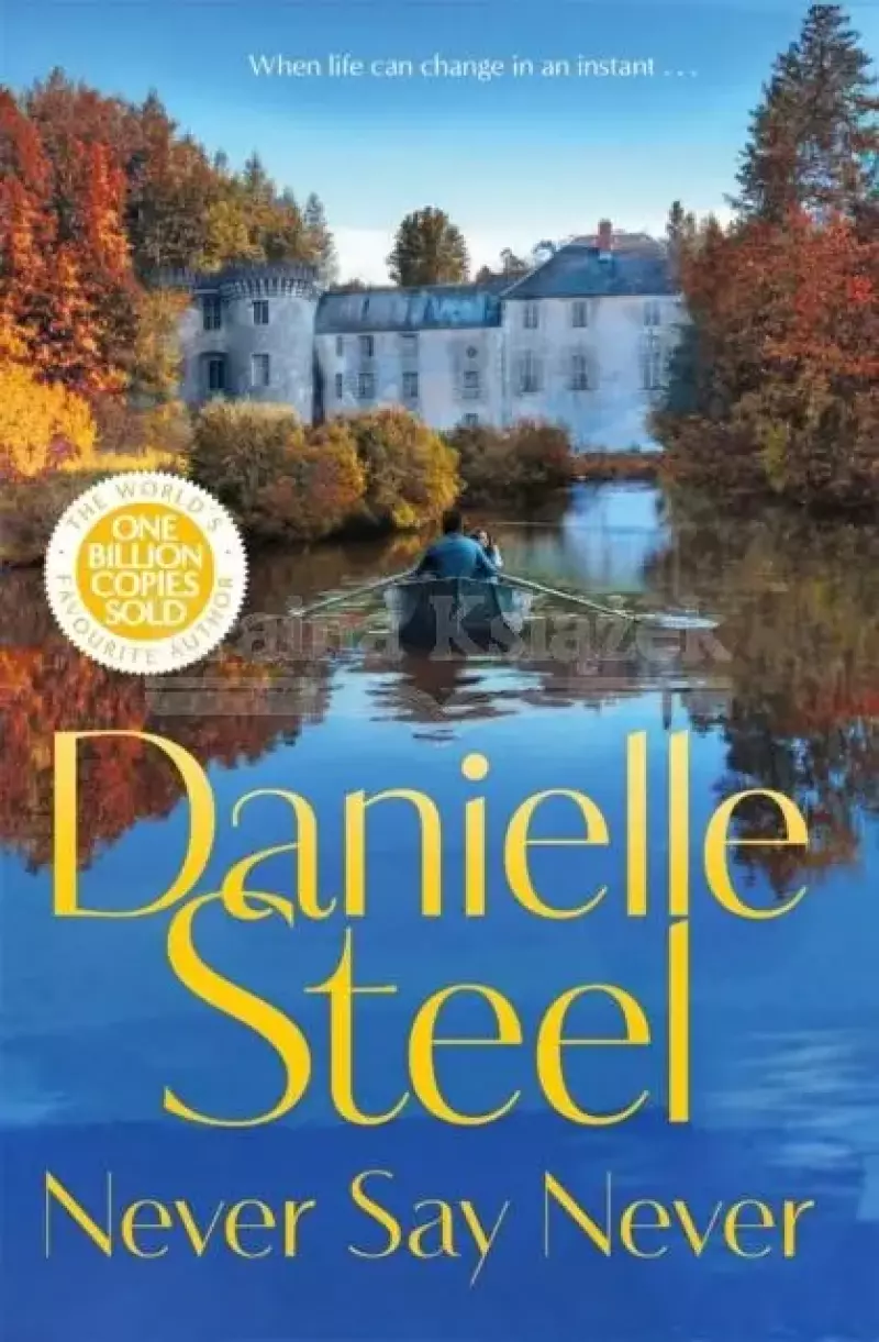 Never Say Never Never Say Never