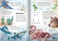Nowa Biologia na czasie 3. Liceum i technikum. Podręcznik. Zakres podstawowy. Nowość 2026, zdjęcie 8