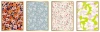 Zeszyt A5/60K kratka Metallic Floral (10szt) - zdjęcie