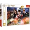 Puzzle 300 elementów. Wizarding World. Harry Potter - zdjęcie