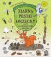 Ziarna, pestki, orzechy, czyli te niesamowite nasiona - zdjęcie