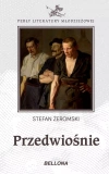 Przedwiośnie - zdjęcie