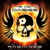 Radiance, CD - zdjęcie
