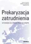 Prekaryzacja zatrudnienia - zdjęcie