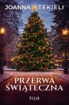 Przerwa świąteczna - zdjęcie